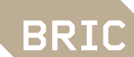 08_Bric 08_Bric